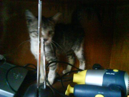Прикачена снимка