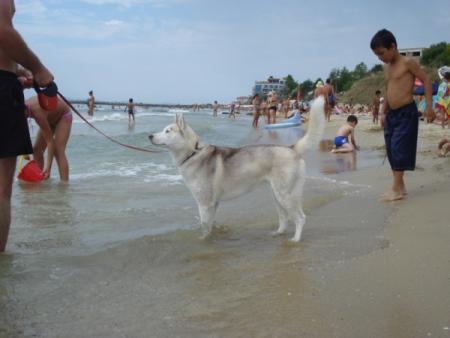 Прикачена снимка