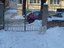 Прикачена снимка