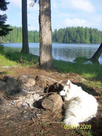 Прикачена снимка