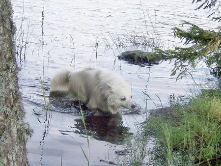 Прикачена снимка