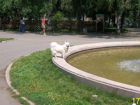 Прикачена снимка