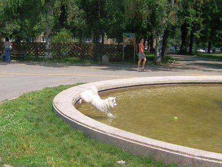 Прикачена снимка