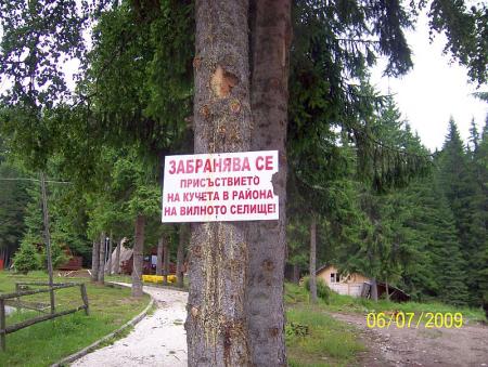 Прикачена снимка