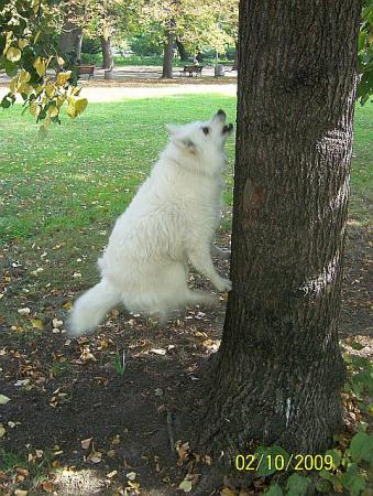 Прикачена снимка