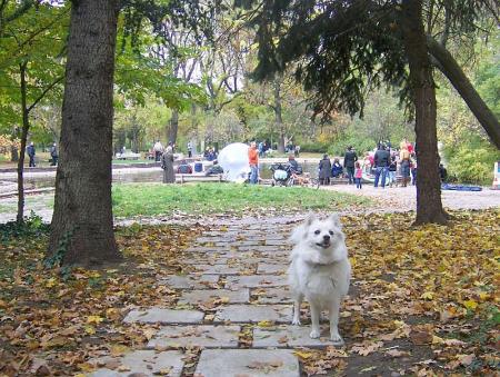 Прикачена снимка