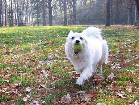 Прикачена снимка