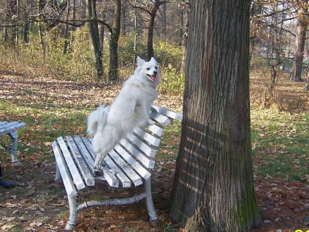 Прикачена снимка