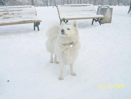 Прикачена снимка