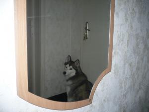 Прикачена снимка