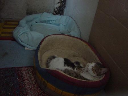Прикачена снимка