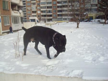 Прикачена снимка