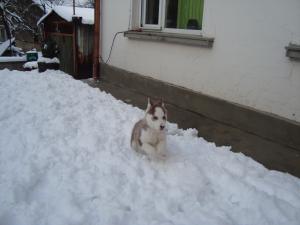 Прикачена снимка