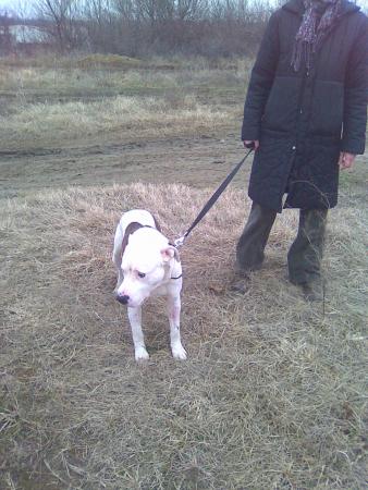 Прикачена снимка