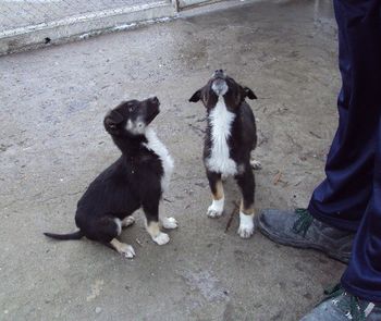 Прикачена снимка