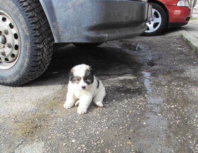 Прикачена снимка