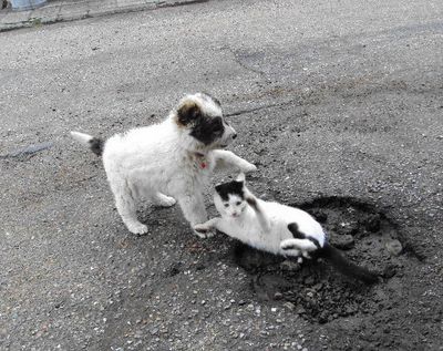 Прикачена снимка