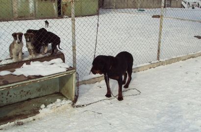 Прикачена снимка