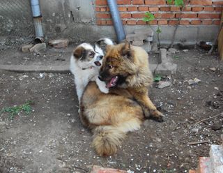 Прикачена снимка