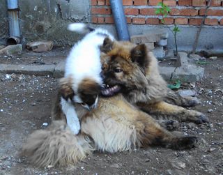 Прикачена снимка