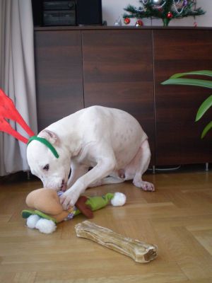 Прикачена снимка