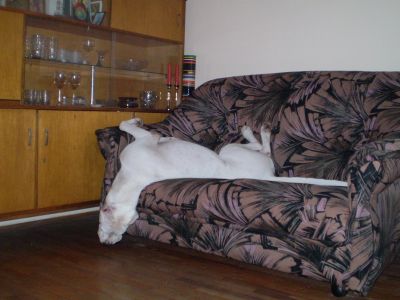 Прикачена снимка