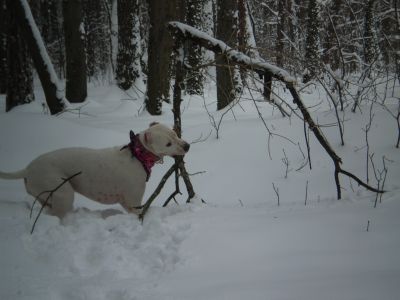 Прикачена снимка