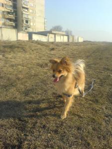 Прикачена снимка