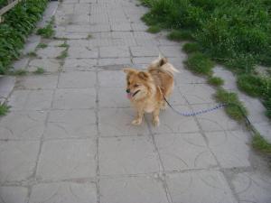 Прикачена снимка