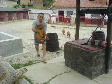 Прикачена снимка