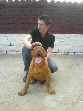 Прикачена снимка
