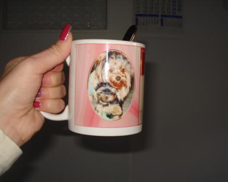 Прикачена снимка