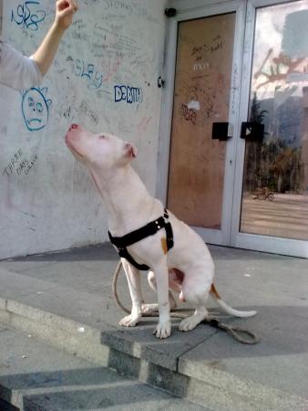 Прикачена снимка