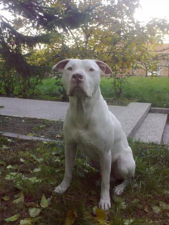 Прикачена снимка