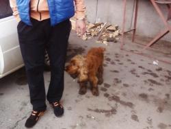 Прикачена снимка