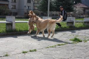 Прикачена снимка