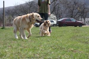 Прикачена снимка
