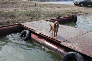 Прикачена снимка