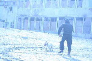 Прикачена снимка