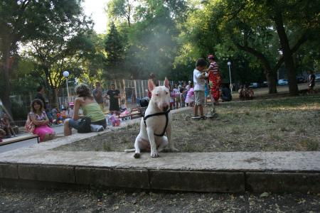 Прикачена снимка