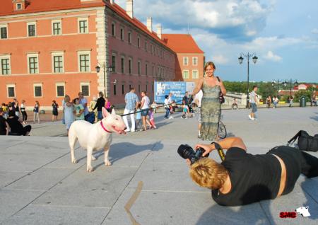 Прикачена снимка