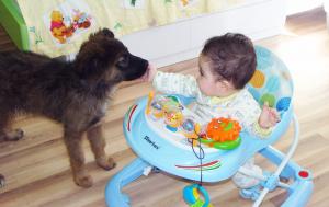 Прикачена снимка
