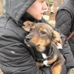 Прикачена снимка