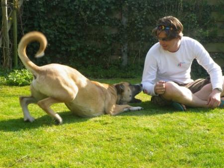 Прикачена снимка