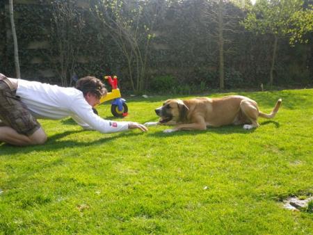 Прикачена снимка