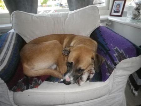 Прикачена снимка