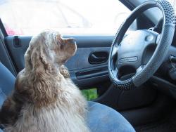 Прикачена снимка