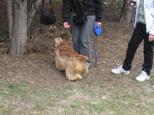 Прикачена снимка