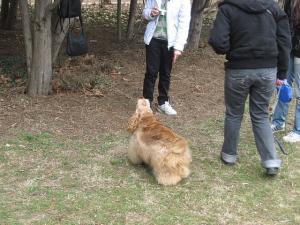 Прикачена снимка