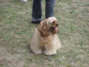 Прикачена снимка